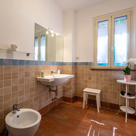 La Visciola - Del Conero *